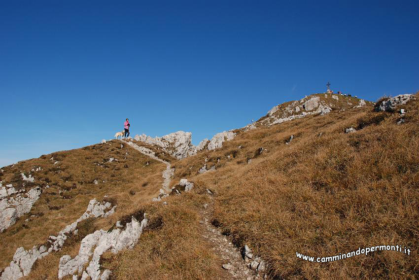 09 13176 Verso la Vetta.JPG
